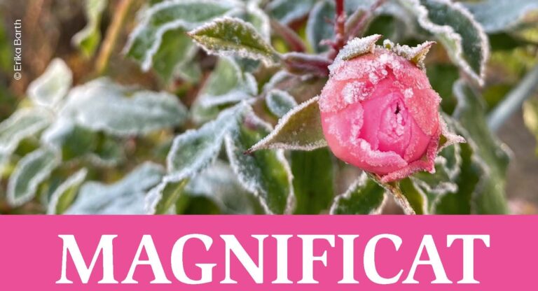Magnificat – Adventkonzert